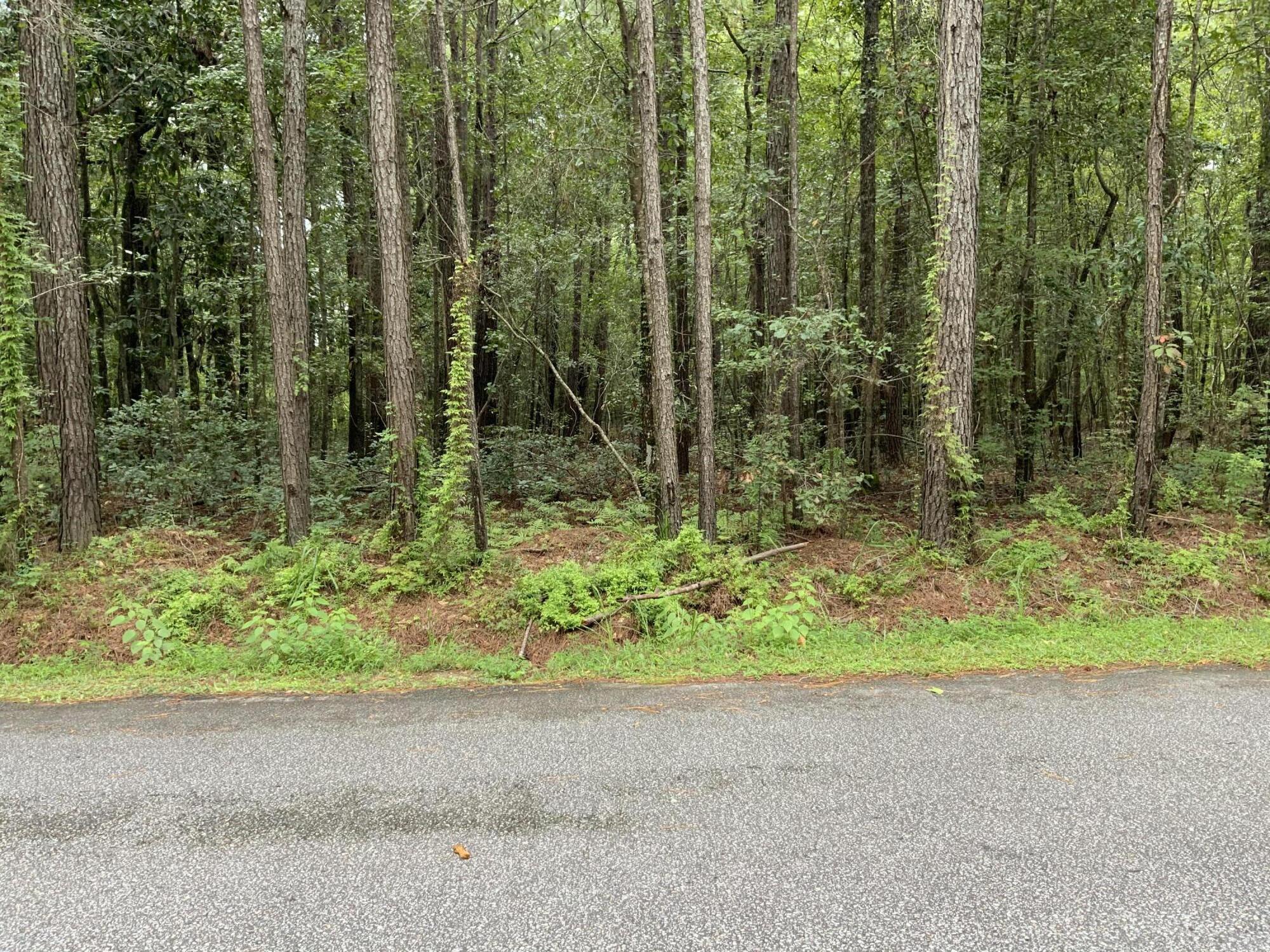 8735 Old Jacksonboro Rd Adams Run SC 29426 MLS 22028263 Coldwell