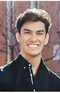 Mihali Sergakis image