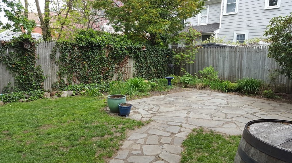 15 Elm Ct, Andover MA  01810-3525 exterior