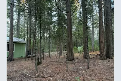 21755 State Highway 20, Nevada City, CA 95959 - Photo 33