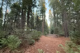 21755 State Hwy 20, Nevada City, CA 95959 - Photo 23