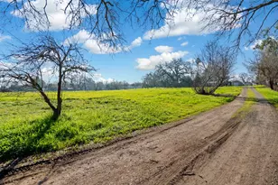 12542 Plum Ln, Wilton, CA 95693 - Photo 39