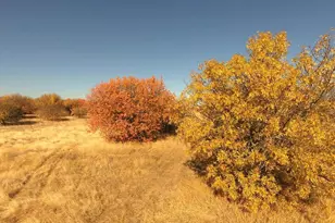 27643 Co Rd 88, Winters, CA 95694 - Photo 19