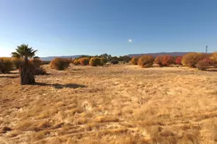 27643 Co Rd 88, Winters, CA 95694 - Photo 15