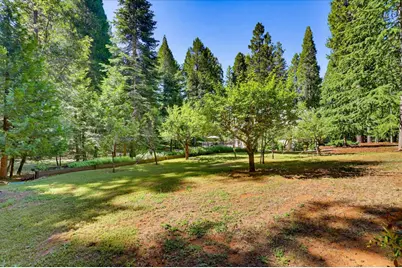 19217 Scotts Flat Road, Nevada City, CA 95959 - Photo 87