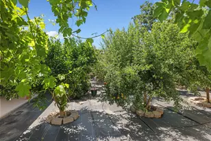 575 Buena Tierra Dr, Tracy, CA 95376 - Photo 27