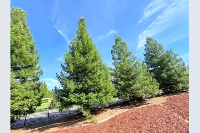 9060 Stockhorse Lane, Granite Bay, CA 95746 - Photo 3