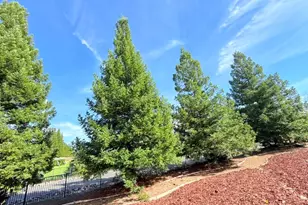 9060 Stockhorse Ln, Granite Bay, CA 95746 - Photo 3