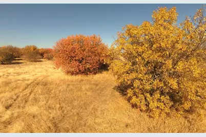 27643 County Road 88, Winters, CA 95694 - Photo 23