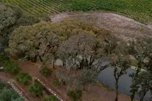 13414 Chalk Hill Rd, Healdsburg, CA 95448 - Photo 27