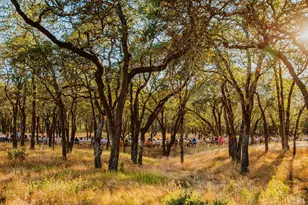 13414 Chalk Hill Rd, Healdsburg, CA 95448 - Photo 3