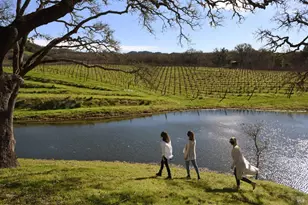 13414 Chalk Hill Rd, Healdsburg, CA 95448 - Photo 9