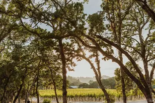 13414 Chalk Hill Rd, Healdsburg, CA 95448 - Photo 13