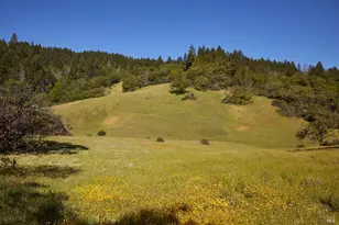 18574 Tomki Rd, Redwood Valley, CA 95470 - Photo 13