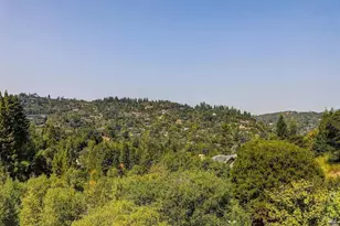 216 Evergreen Dr, Kentfield, CA 94904 - Photo 45