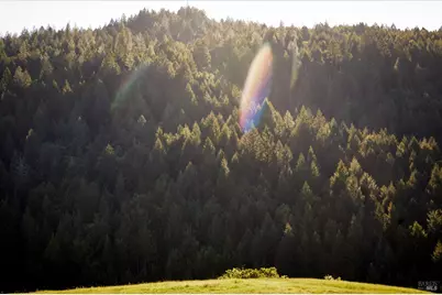 10850 Tomki Road, Redwood Valley, CA 95470 - Photo 21