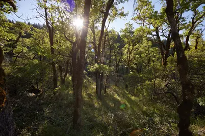 10850 Tomki Road, Redwood Valley, CA 95470 - Photo 13