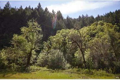 10850 Tomki Road, Redwood Valley, CA 95470 - Photo 11