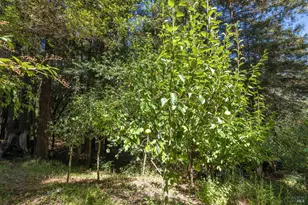 17970 Duncan Rd, Guerneville, CA 95446 - Photo 25