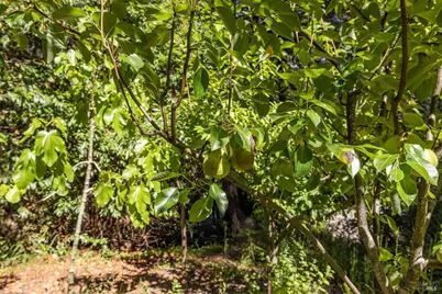 17970 Duncan Road, Guerneville, CA 95446 - Photo 23