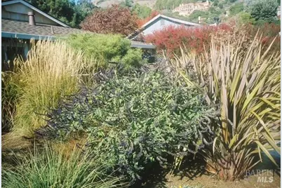 55 Las Casas Drive, San Rafael, CA 94901 - Photo 63