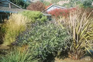 55 Las Casas Dr, San Rafael, CA 94901 - Photo 63