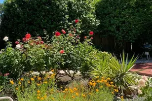 55 Las Casas Dr, San Rafael, CA 94901 - Photo 69