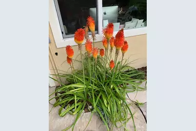 55 Las Casas Drive, San Rafael, CA 94901 - Photo 65