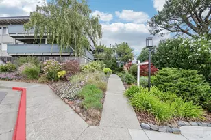 290 Via Casitas, Greenbrae, CA 94904 - Photo 57