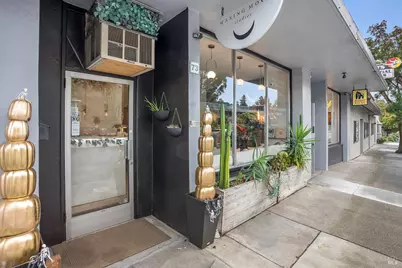 65 Red Hill Avenue, San Anselmo, CA 94960 - Photo 3