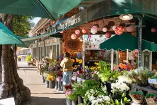 146 Morning Sun Ave, Mill Valley, CA 94941 - Photo 35