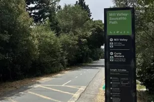 3 Fielding Cir, Mill Valley, CA 94941 - Photo 31