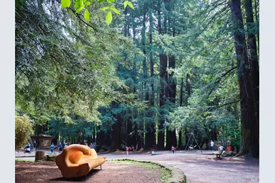 3 Fielding Circle, Mill Valley, CA 94941 - Photo 35