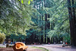 3 Fielding Cir, Mill Valley, CA 94941 - Photo 35