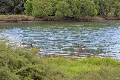 111 Nantucket Cove, San Rafael, CA 94901 - Photo 35