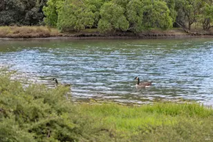 111 Nantucket Cove, San Rafael, CA 94901 - Photo 35