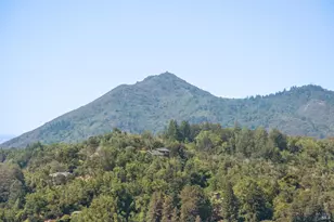 28 Twin Oaks Ave, San Rafael, CA 94901 - Photo 45