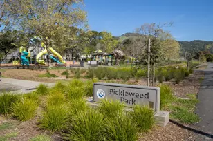 3720 Kerner Blvd, San Rafael, CA 94901 - Photo 13