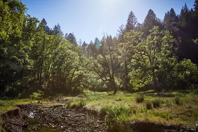 18574 Tomki Road, Redwood Valley, CA 95470 - Photo 7