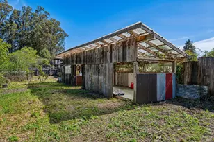 18 Cypress Rd, Point Reyes Station, CA 94956 - Photo 65