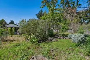 18 Cypress Rd, Point Reyes Station, CA 94956 - Photo 63