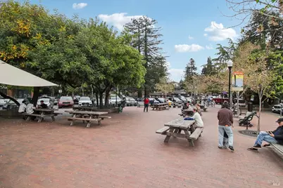 8 Greenfield Court, Mill Valley, CA 94941 - Photo 61