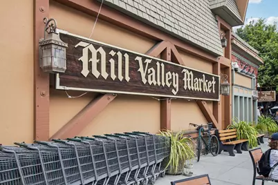 8 Greenfield Court, Mill Valley, CA 94941 - Photo 43