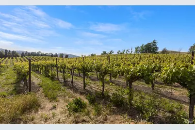 3001 Sears Point Road, Sonoma, CA 95476 - Photo 51