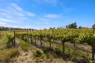 3001 Sears Point Rd, Sonoma, CA 95476 - Photo 51