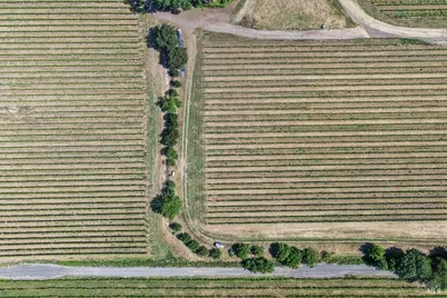 5091 Dry Creek Road, Healdsburg, CA 95448 - Photo 41