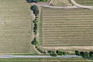 5091 Dry Creek Rd, Healdsburg, CA 95448 - Photo 41