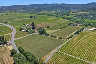 5091 Dry Creek Rd, Healdsburg, CA 95448 - Photo 37