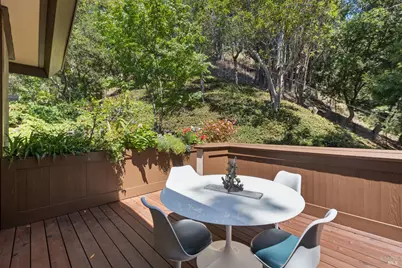 335 Highland Avenue, San Rafael, CA 94901 - Photo 67