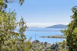 335 Highland Ave, San Rafael, CA 94901 - Photo 89